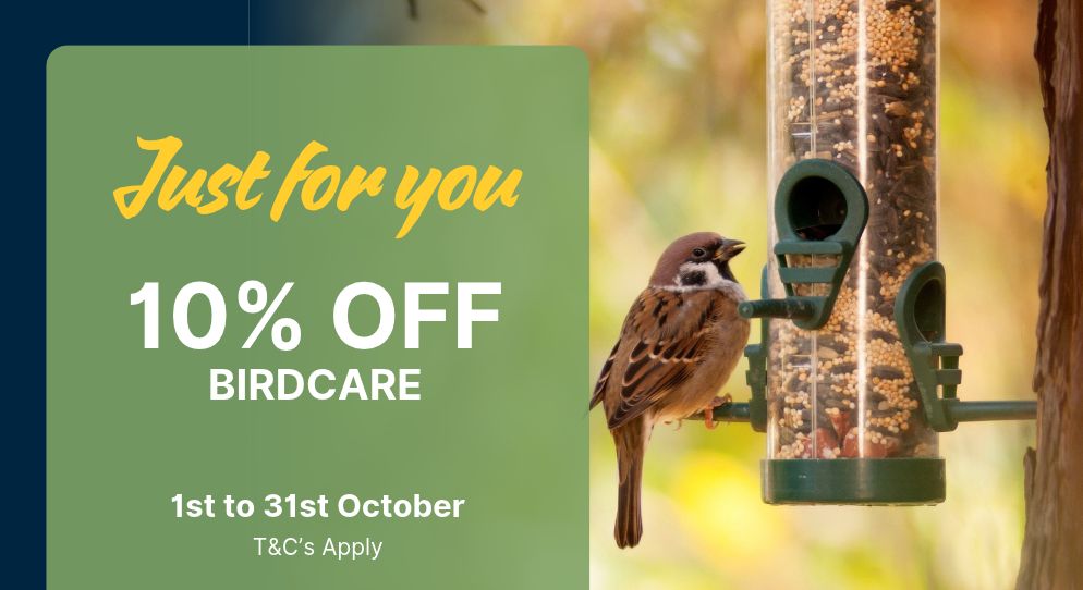 Save 10% on birdcare