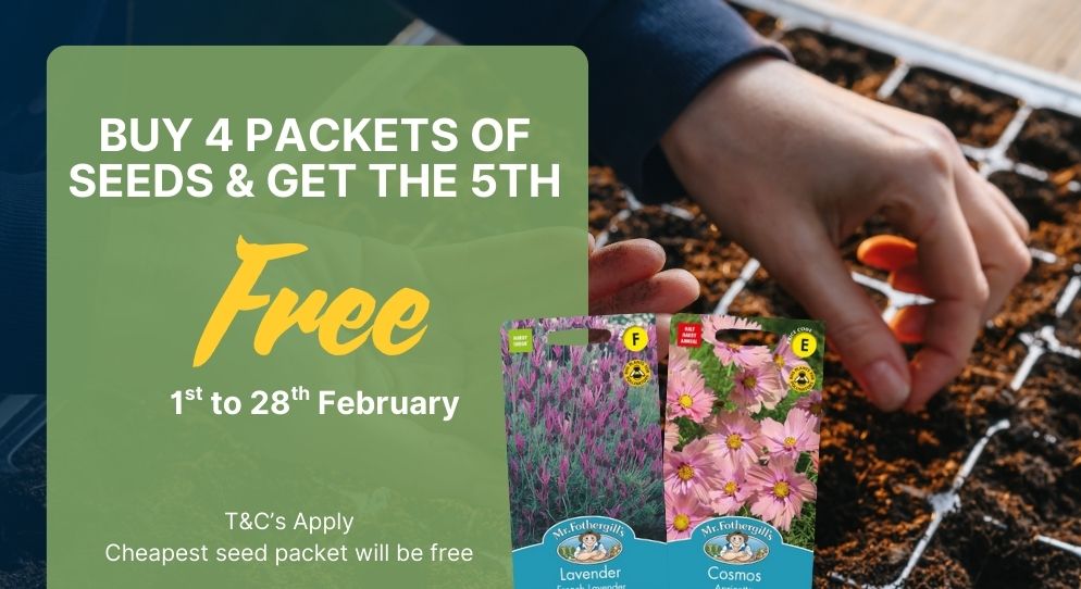 Buy 4 Get One Free Seeds
