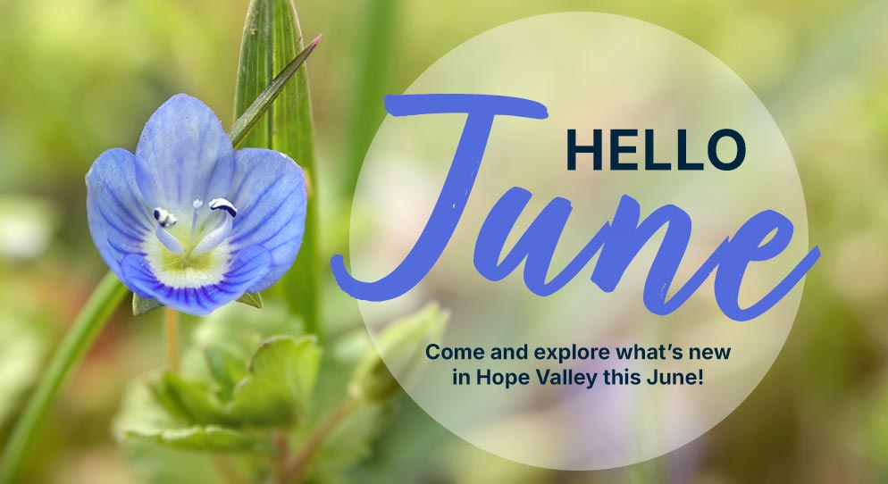 June Newsletter