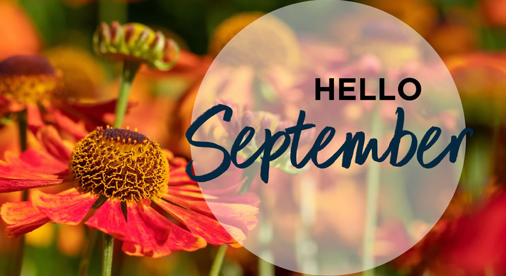 September Newsletter