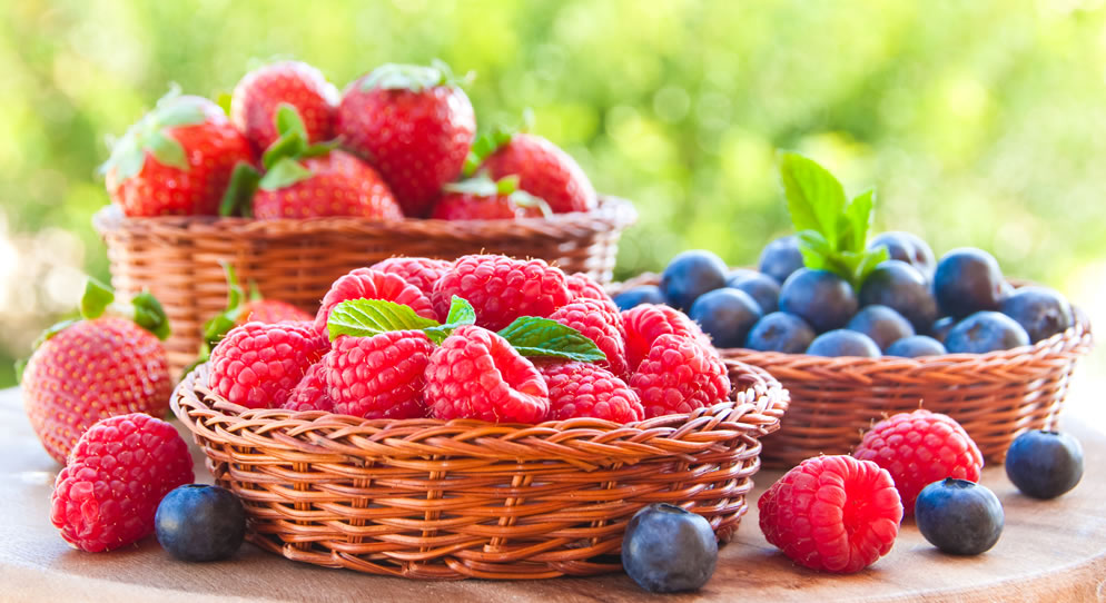 Summer Fruits