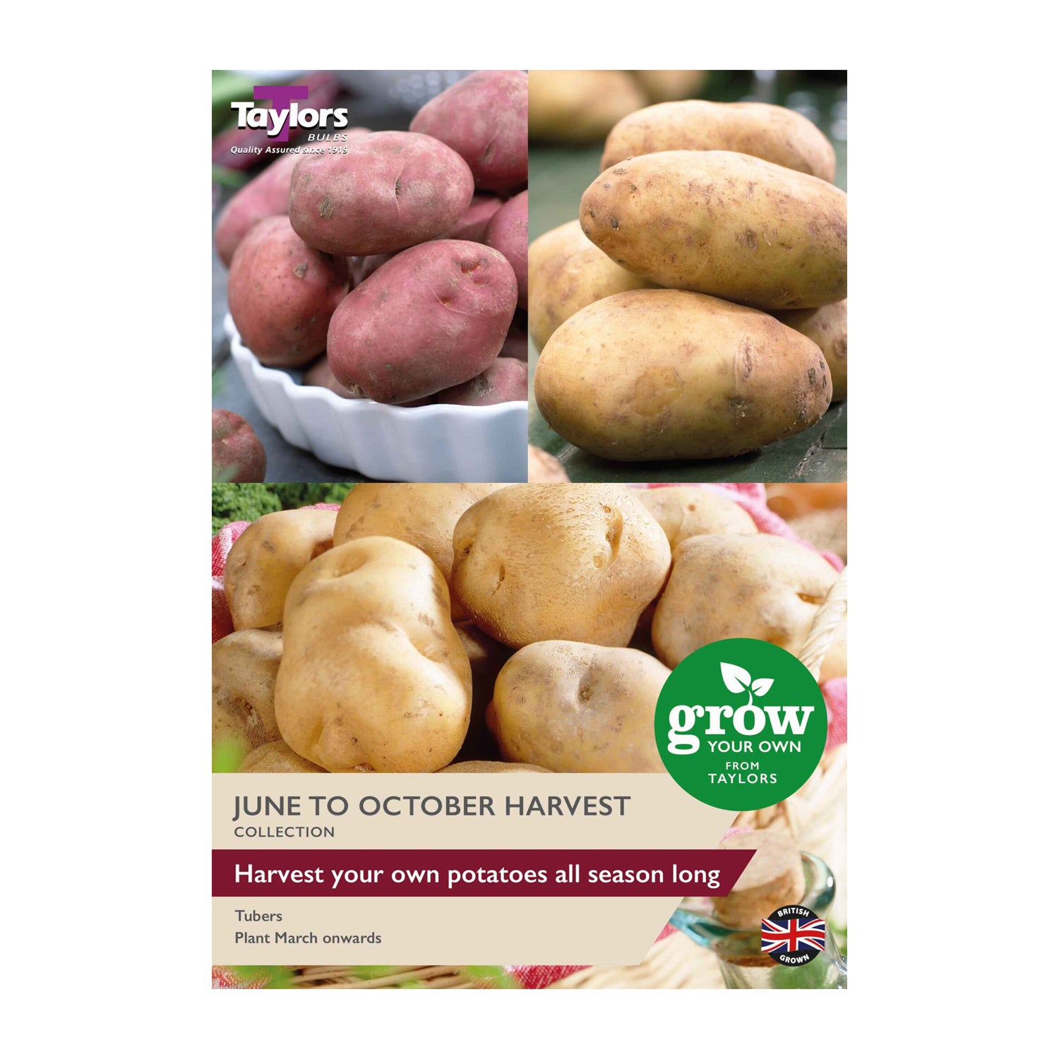 June To October Harvest Collection