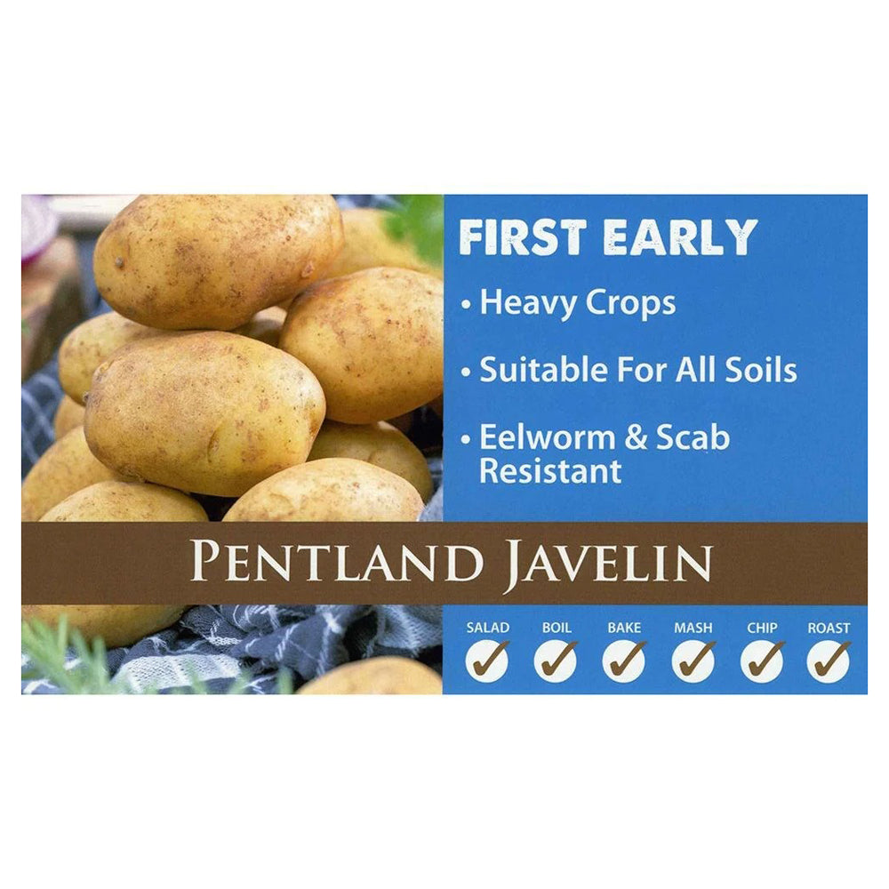 2kg Potato Pentland Javelin