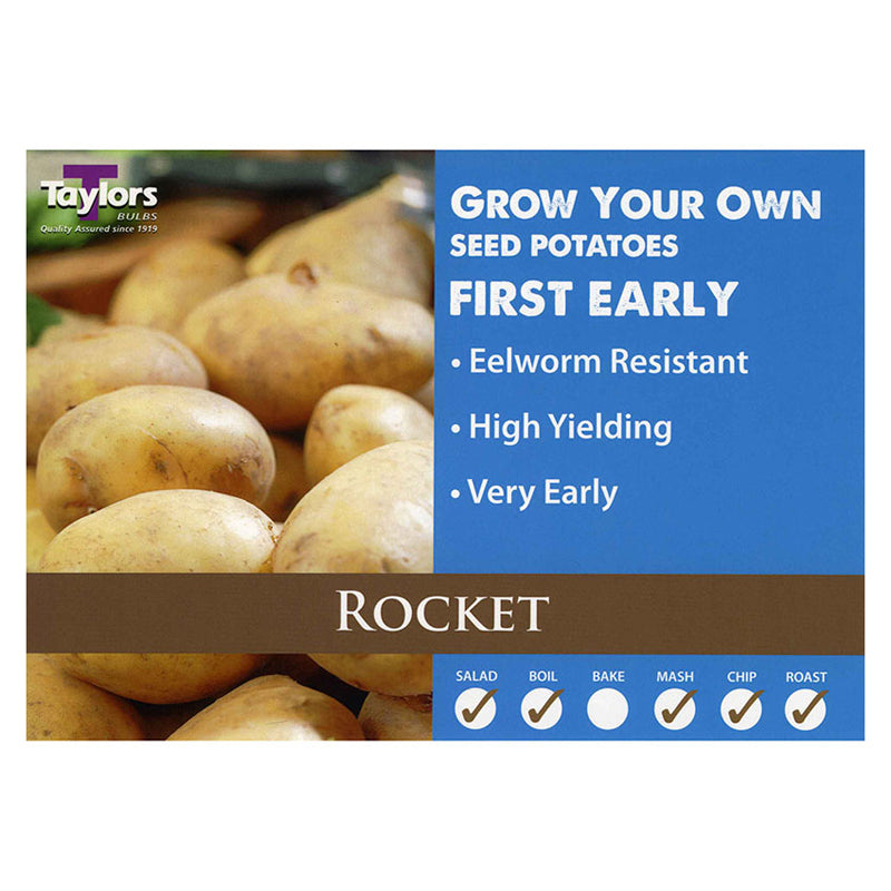 2kg Potato Rocket