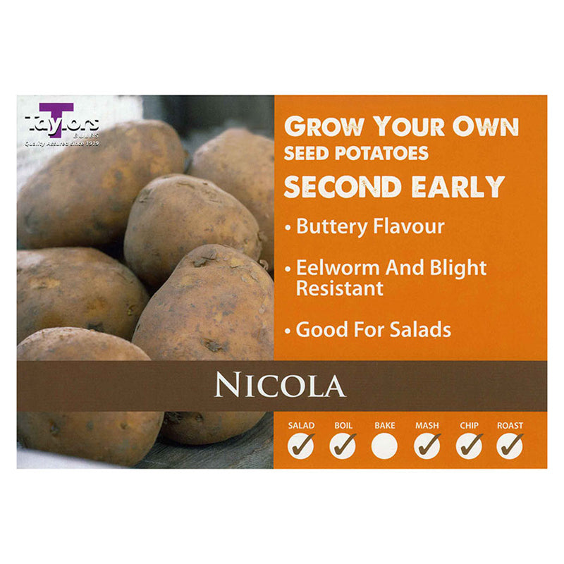 2kg Potato Nicola