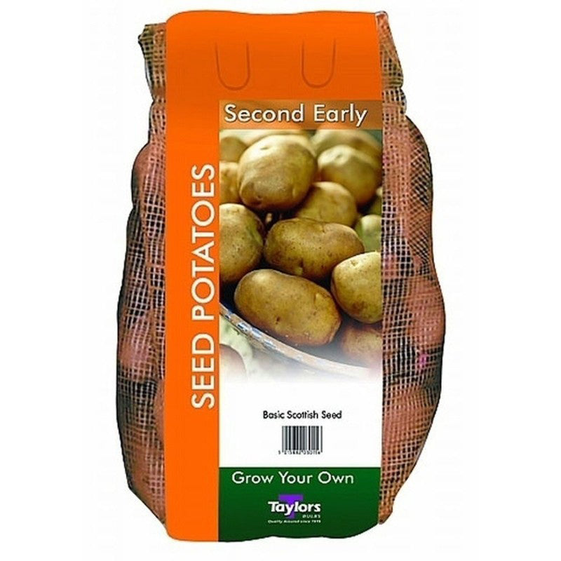 2kg Potato Saxon