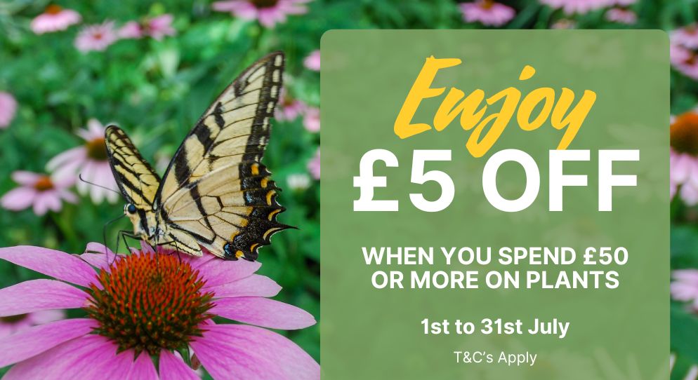£5 Off
