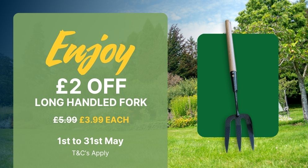 Fork