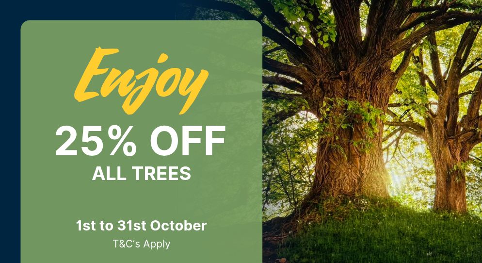 25% off trees