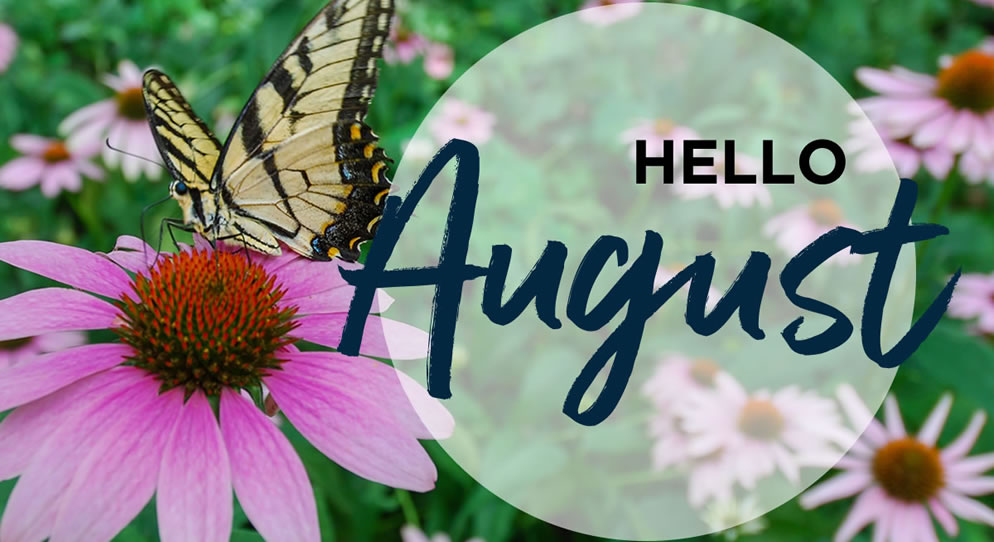 August Newsletter