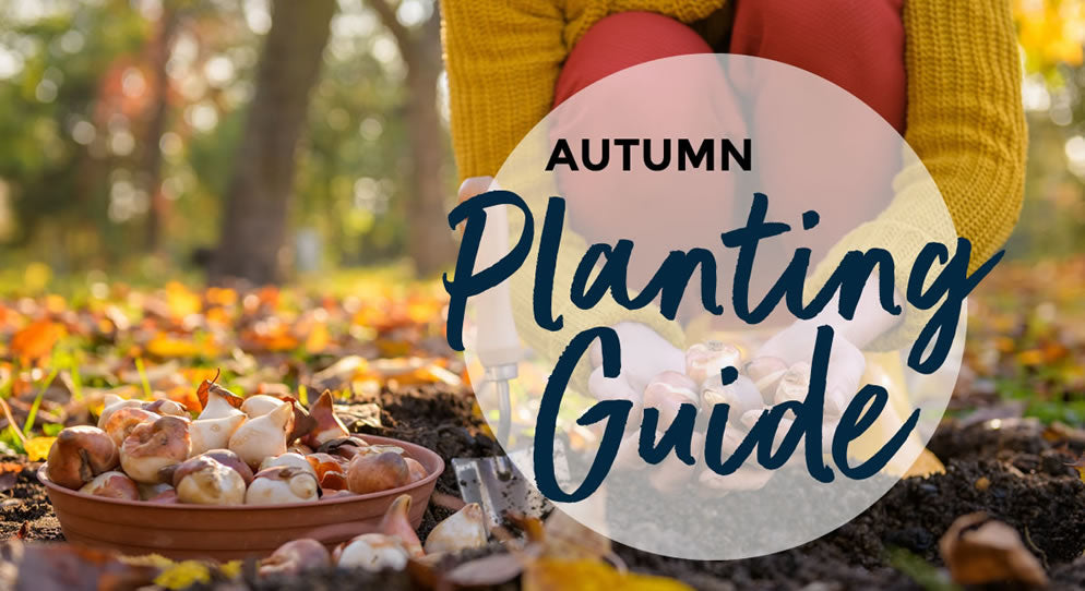 Autumn Planting Guide
