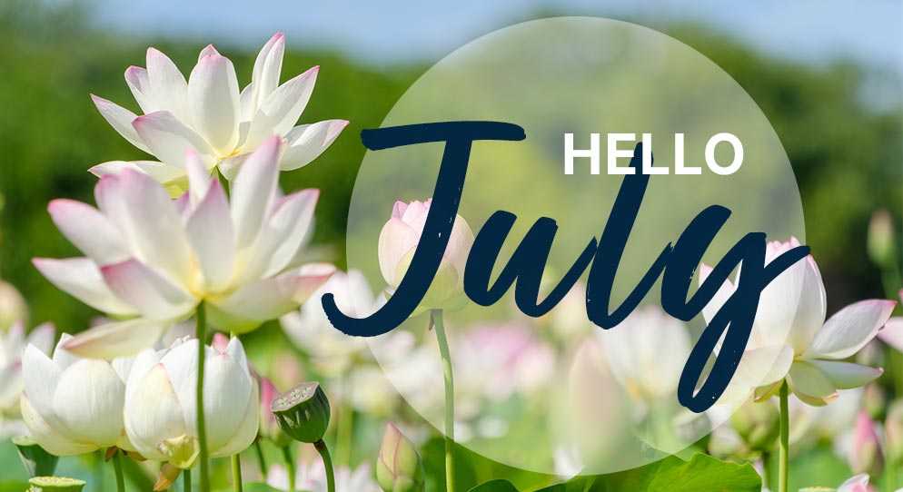 July Newsletter
