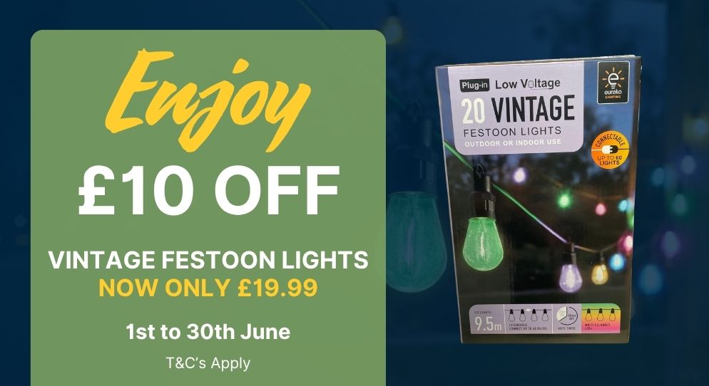 Festoon Lights