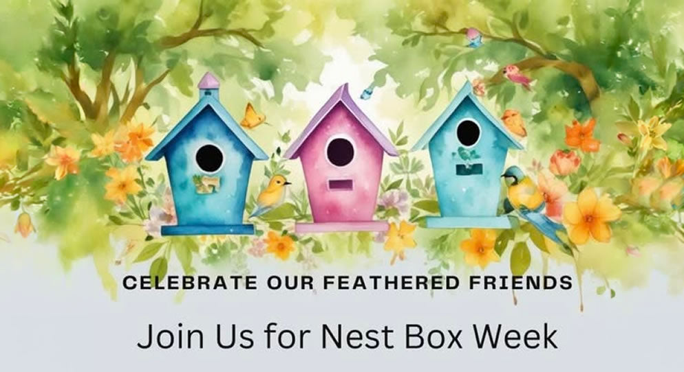 National Nest Box Week – Hope Valley Garden Centre