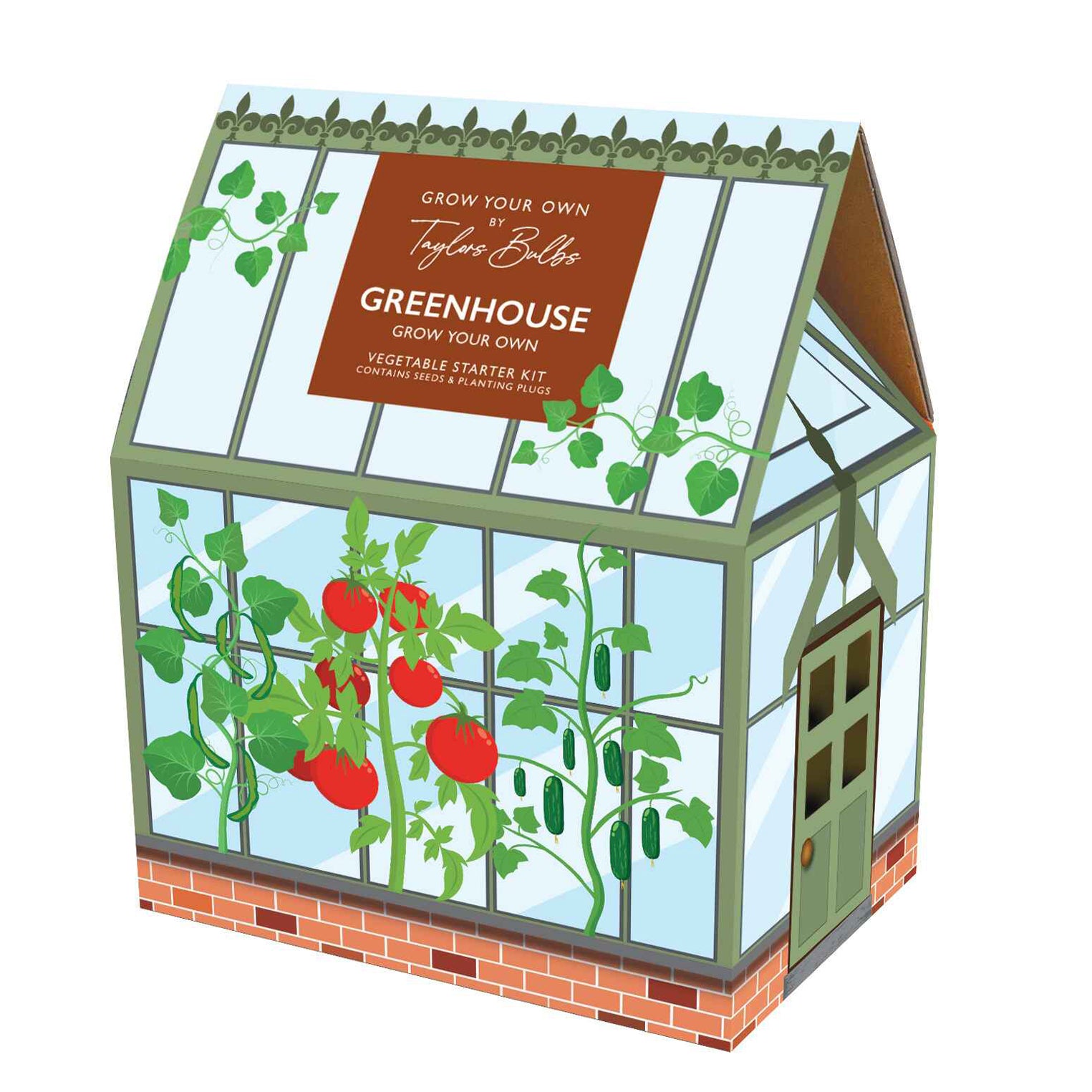 Veg greenhouse starter kit