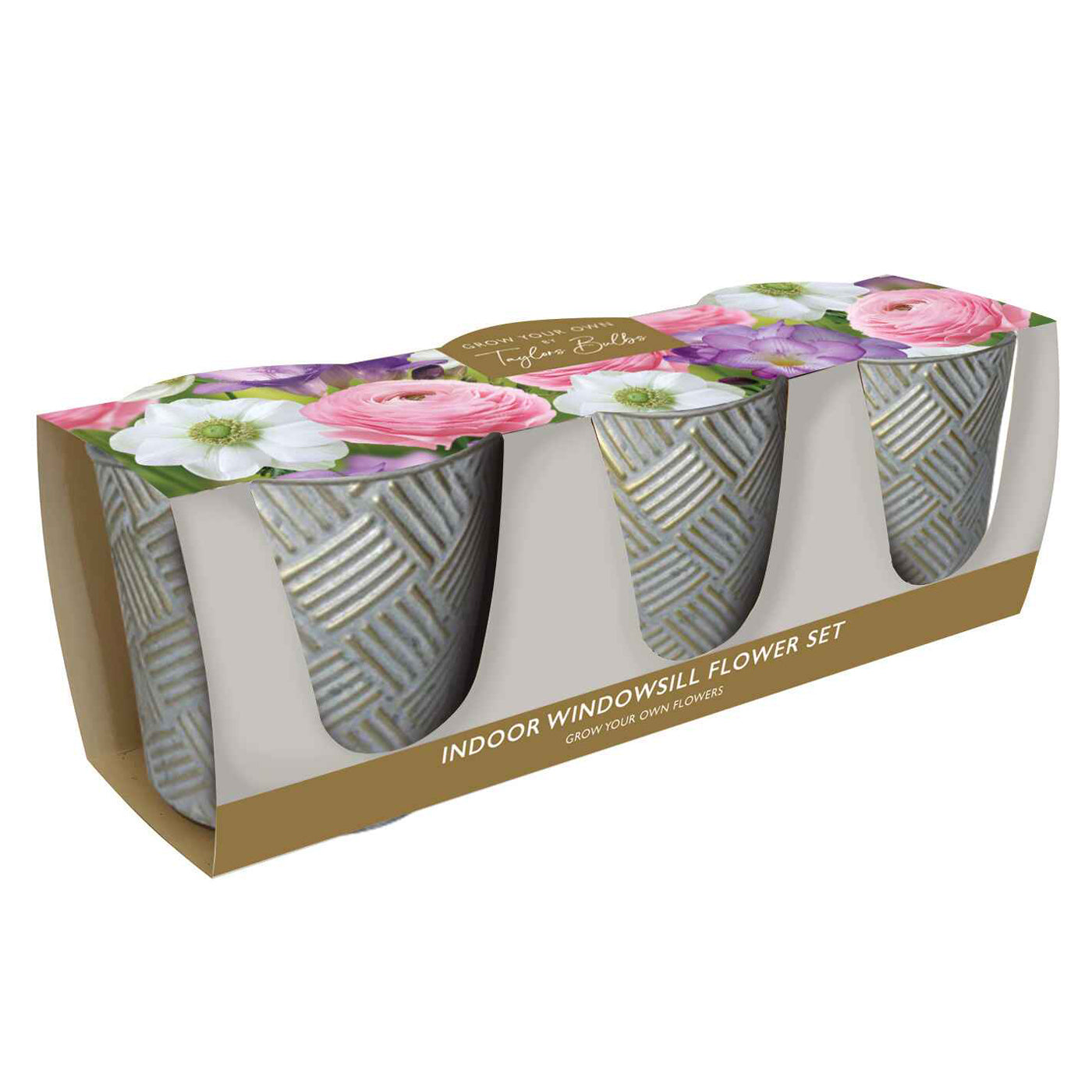 Indoor windowsill flower set