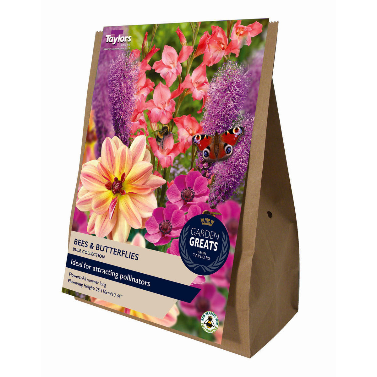 Bees & Butterflies Collection