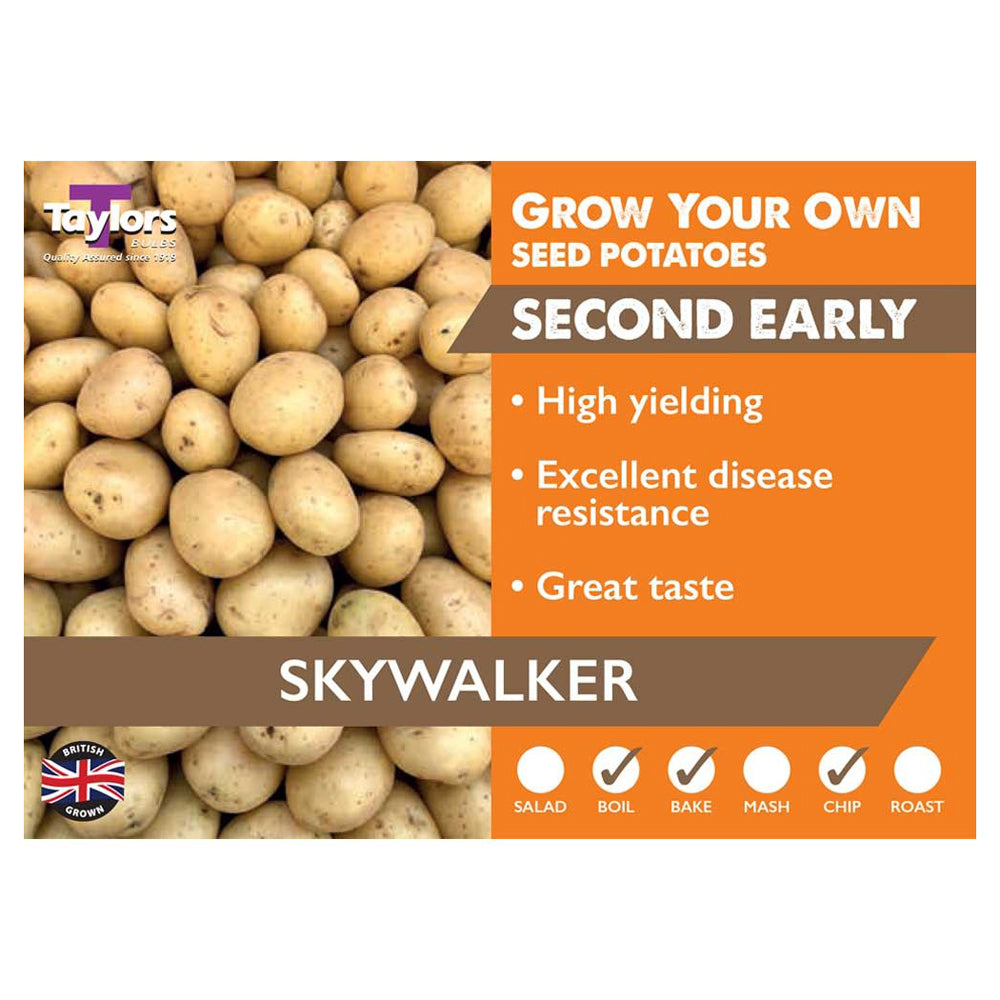 2kg Potato Skywalker