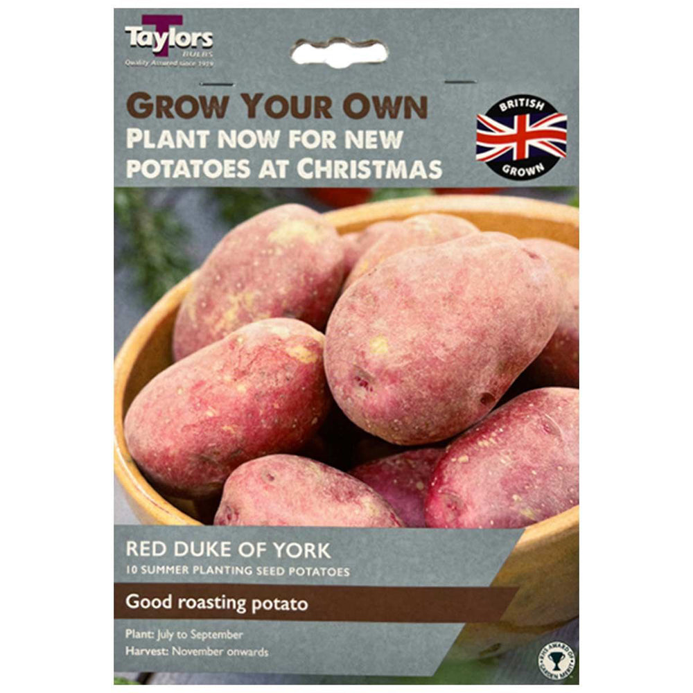 10 Potato Duke Of York