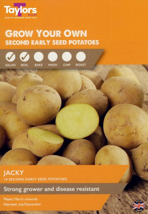10 Potato Jacky