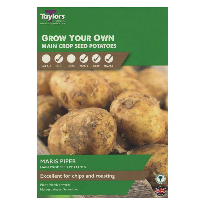 10 Potato Maris Piper