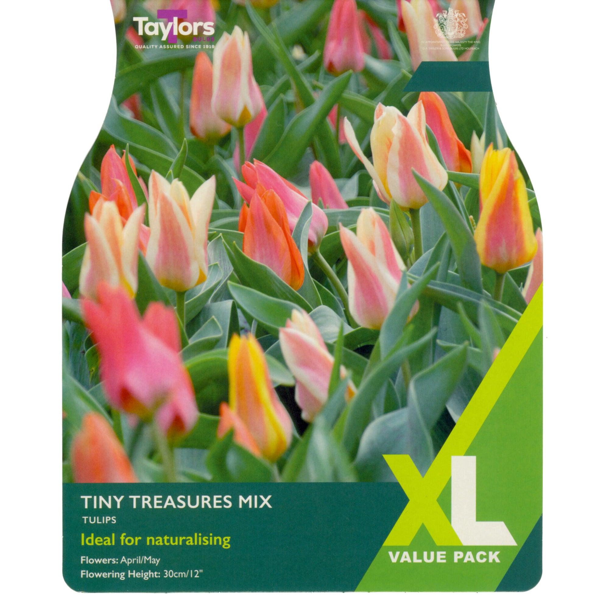 Tiny Treasures Tulip XL